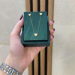 نیمست قلب سه بعدی